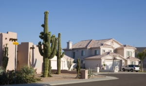 Houses with cactus